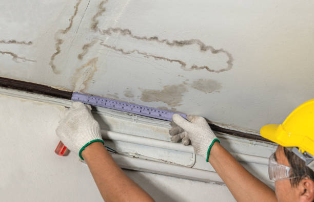 Reliable Mold Remediation contractor in North Waterford, ME by Water Damage Irwin